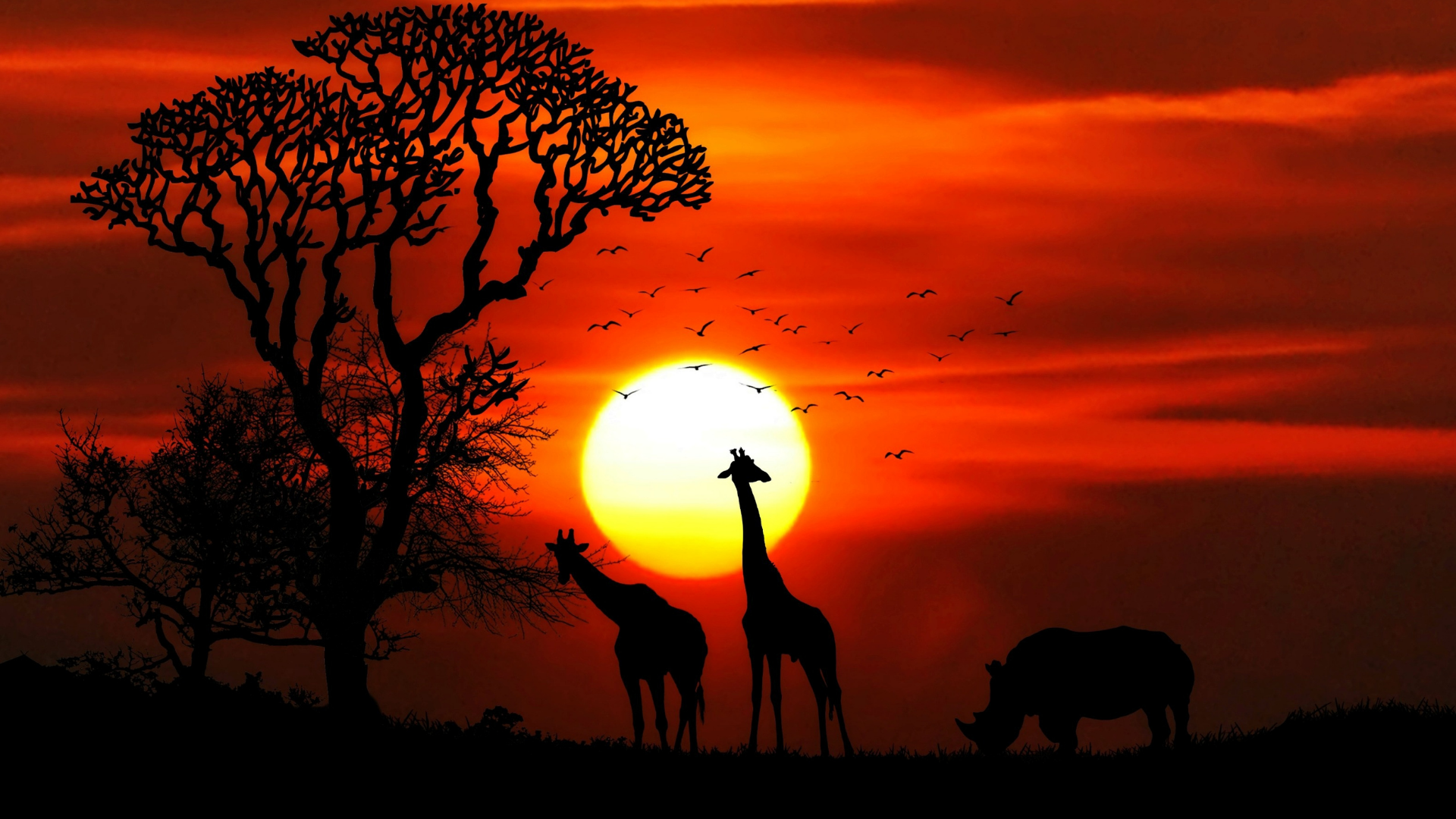 AFRIKA